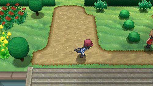 pokemon x and y nds